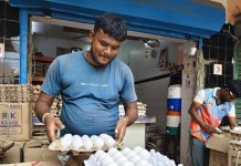 पुरवठा कमी झाल्याने अंड्याच्या किमतीत वाढ होते, पोल्ट्री फीडची किंमत वाढते