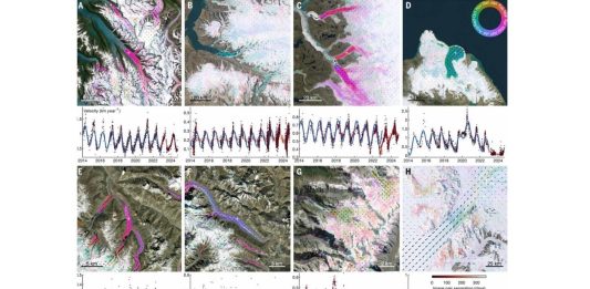 प्रवेश नाकारला