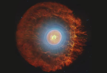 प्रवेश नाकारला